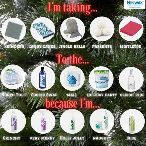 Norwex Christmas, Cookie Swap, Sleigh Ride, Holly Jolly, Jingle Bells, Candy Cane, Holiday Parties, Reindeer, Christmas