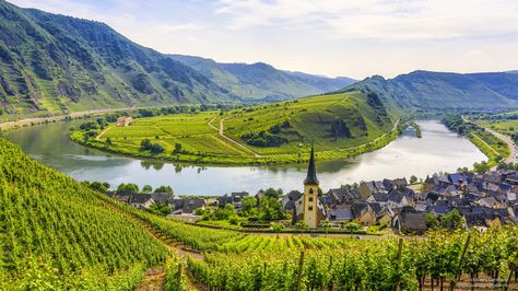 Mosel, Germany Rheinland, Geographic Features, Europe Wallpaper, Germany Landscape, Medieval Town, River Cruises, Wine Region, Cruise Vacation, Ancient Cities