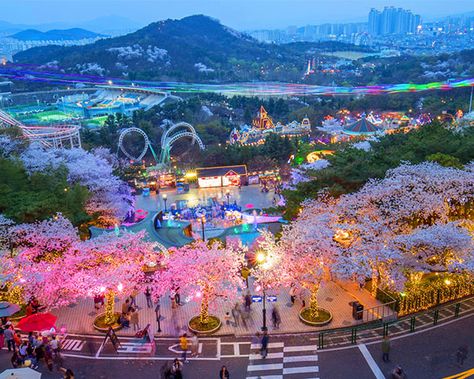 7 Trendiest Places in Daegu You Must Visit - Trazy Blog Cruises, Daegu, Daegu Aesthetic, Daegu South Korea, Mountain Pass, American Airlines, Local Food, Airlines, South Korea