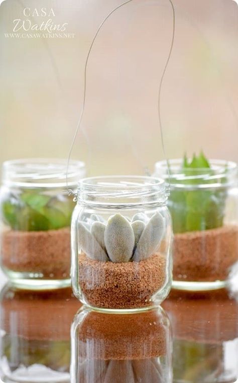 Use a measuring cup to pour ground shells or dirt in the glass, then plant your tiny succulents. Wrap the lip of the jar with floral wire, then hook a U-shaped piece of wire onto the wrap. Learn more here. Pickle Ideas, Baby Jar Crafts, Baby Food Jars Diy, Succulent Hanging Planter, Baby Jars, Baby Food Jar Crafts, Hanging Jars, Succulent Planter Diy, Baby Food Containers