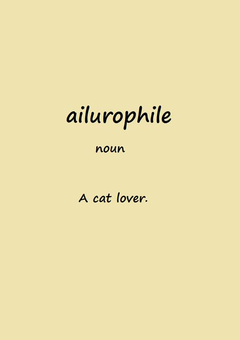 ailurophile One Word Caption, Photo Caption, Aesthetic Words, Instagram Quotes, Instagram Captions, Beautiful Words, Cat Lovers, Tattoo Ideas, Meant To Be