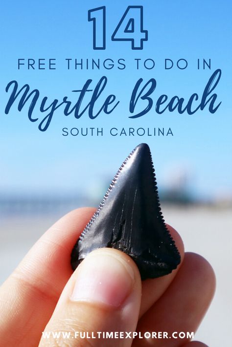 Road Trip To Myrtle Beach South Carolina, Shelling In Myrtle Beach, Myrtle Beach Hidden Gems, Myrtle Beach Dolphin Cruise, Best Things To Do In Myrtle Beach, Things To Do In North Myrtle Beach Sc, Myrtle Beach With Toddlers, Myrtle Beach Packing List, Myrtle Beach Things To Do With Kids