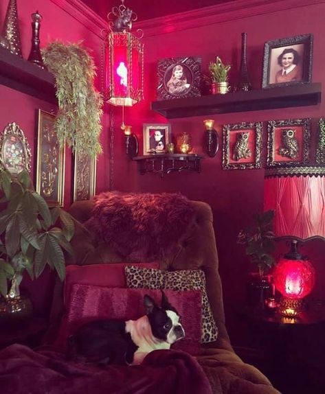 Goth Maximalism, Voice Of Nature, Home Decor Aesthetic, Dark Home Decor, Aesthetic Home Decor, Red Room, Goth Home, Goth Home Decor, Dark Home