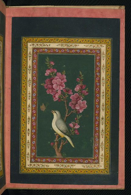 Indian Calligraphy, معرض فني, Birds Sitting, Persian Art Painting, Mughal Paintings, Persian Miniature, Persian Motifs, Iranian Art, Eastern Art