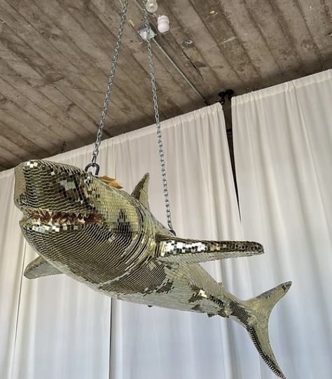 Disco Shark, Disco Alien, Disco Bedroom, Classroom Aesthetic, Disco Christmas, Ocean Room Decor, Surf Room, Shark Decor, Wedding Celebrant