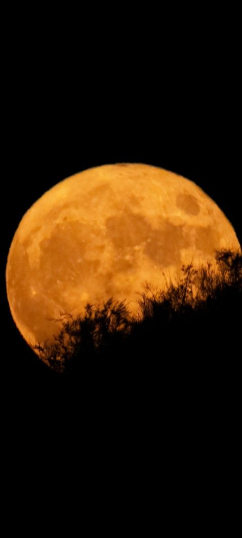 Harvest Moon Aesthetic, Harvest Moon Wallpaper, October Moon, Moon Wallpapers, Blog Aesthetic, Moon Texture, Pumpkin Moon, Autumn Moon, Autumn Wallpaper