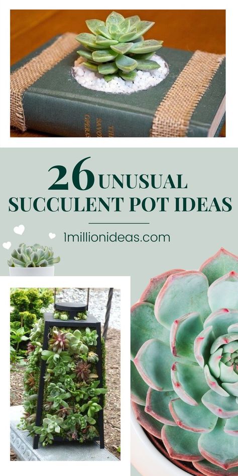 Finding unique ideas to plant your succulents, check out our list today to get your inspiration. Of course, you can buy all kinds of fancy plant pots in any shop, but if you love DIY projects, you always come up with creative ideas, these ideas today are for you. And here are 26 Unusual Succulent Pot Ideas that you will be interested to try. Unique Succulent Planters, Unique Plant Containers, Suculents Ideas Decoration Pots & Planters, Unique Succulent Arrangements, Succulents In Pots Ideas, Creative Succulent Ideas, Succulents Planter Ideas, Unique Pots For Plants Indoor, Creative Succulent Planters