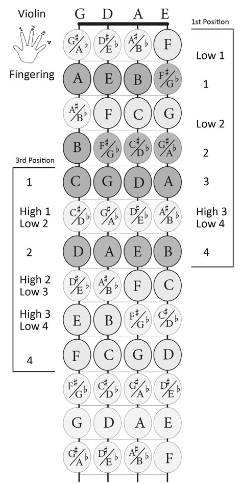 violin fingerboard with notes and finger numbers - 1st and 3rd positions print size 8 X 10 Violin Chords, Violin Fingering Chart, Violin Notes, Violin Teaching, Fiddle Music, Violin Practice, Violin Songs, Violin Strings, Not Musik