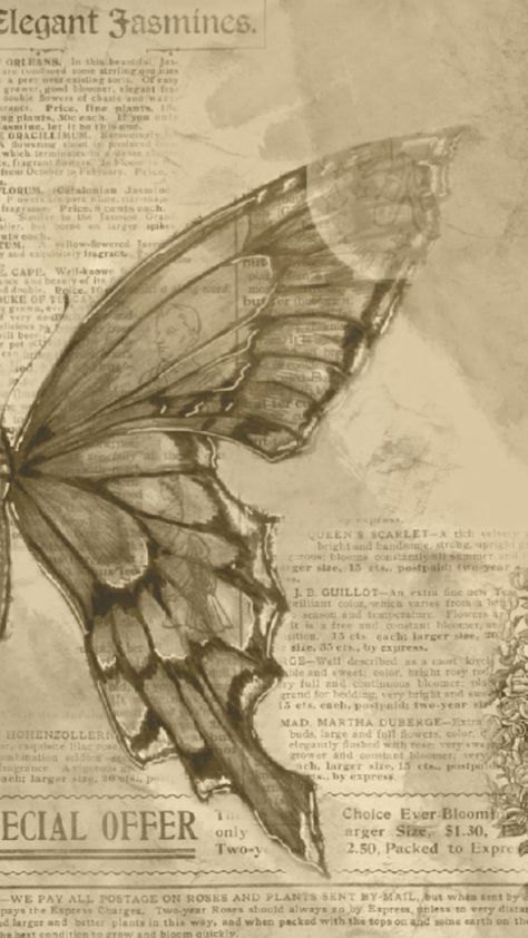 #wallpaper#newspaper#butterfly#cute Butterfly On Newspaper, Vintage Wallpaper Newspaper, Ripped Newspaper Aesthetic, Vintage Newspaper Wallpaper, Book Pages Wallpaper, Butterfly Newspaper, Newspaper Butterfly, Cute Newspaper, Art Igcse