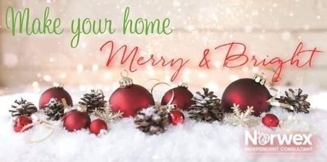 Christmas Facebook Banner, Norwex Christmas, Norwex Biz, Norwex Party, Norwex Consultant, Christmas Facebook Cover, Norwex Cleaning, Best Business To Start, Fb Banner