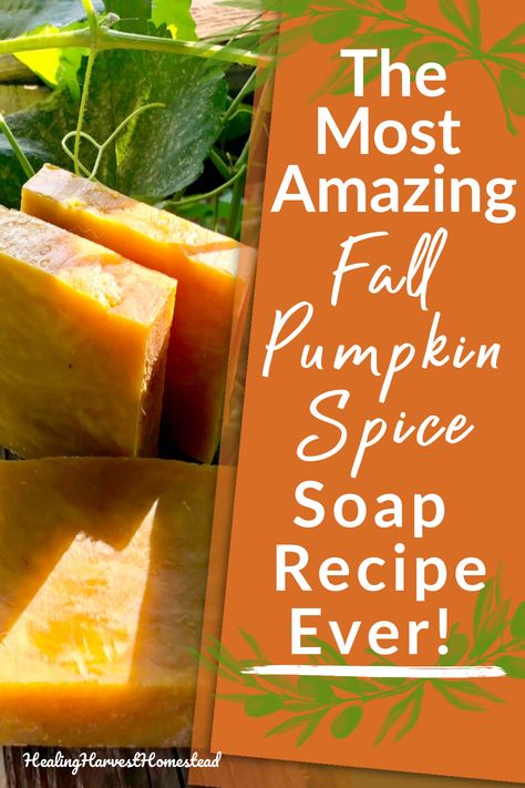 Pumpkin Pie Soap Recipe, Pumpkin Melt And Pour Soap, Fall Cold Process Soap Recipes, Pumpkin Spice Soap Recipe, Fall Soap Recipes Cold Process, Pumpkin Soap Recipe Cold Process, Thanksgiving Soap Ideas, Fall Melt And Pour Soap Ideas, Fall Soap Ideas