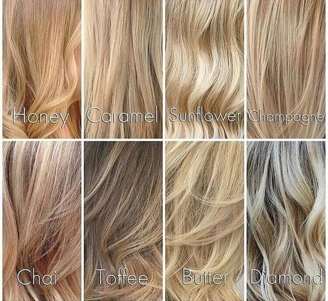 Different Shades of Blondes                                                                                                                                                                                 More Champagne Hair Color, Shades Of Blonde Hair, Types Of Blondes, Champagne Blond, Blonde Hair Color Chart, Different Shades Of Blonde, Champagne Blonde Hair, Champagne Hair, Beige Blond