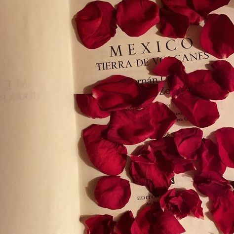 Mexico Red Aesthetic, Red Mexico Aesthetic, Mexicore Aesthetic, Red Spanish Aesthetic, Indie Latina Aesthetic, Mexican Streets Aesthetic, Latin Culture Aesthetic, Mexican Latina Aesthetic, Mexican Faerie Aesthetic