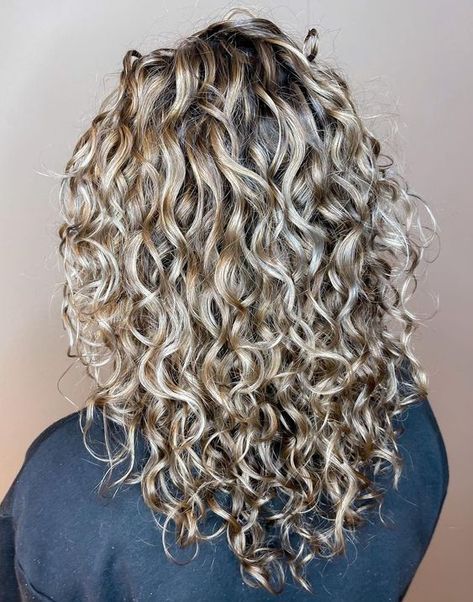 30 Different Types of Hair Highlights to Try in 2023 - Hair Adviser Types Of Hair Highlights, Hydrate Curly Hair, Highlights For Curly Hair, Blonde Highlights Curly Hair, Blonde Foils, Dark Chocolate Brown Hair, Hair Foils, Grey Blonde Hair, Grey Curly Hair