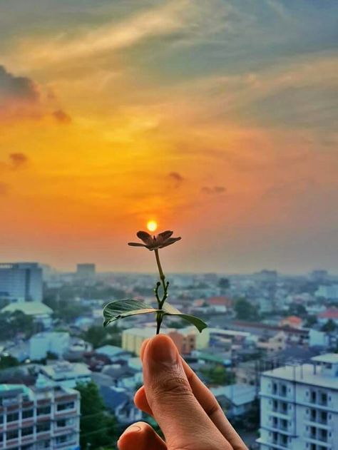 Happiness Photo Photographs, Pop Of Color Photography, Focusing On Yourself Aesthetic Pictures, Focusing Photography, Calm Flowers, Sand Wallpaper, Focus Pictures, Illusion Photography, City Love