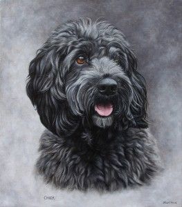 Dog Art Diy, Dog Face Drawing, Dogs Drawing, Cat Art Painting, Chien Shih Tzu, Dog Breeds Pictures, Dog Portraits Painting, Dog Portraits Art, Dog Drawing