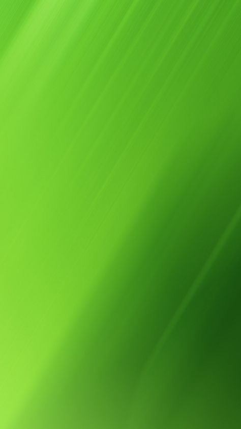 Green Cellphone Wallpaper | Best Wallpaper HD Green Poster Background, Background Green Nature, Green Bg, Cute Food Wallpaper, Greens Restaurant, Beauty Salon Posters, Wallpaper Best, Camo Wallpaper, Light Green Background