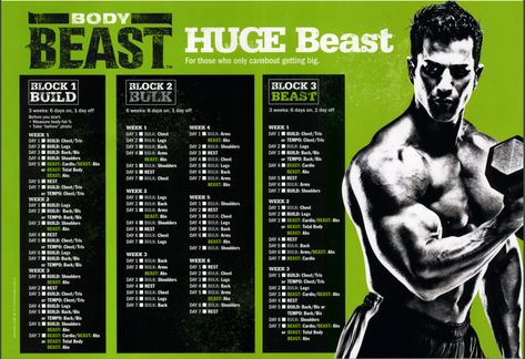 Best Huge Schedule Body Beast Workout Schedule, Body Beast Workout Sheets, Workout Sheets, Beast Workout, Best Workout For Women, Shred Fat, Beachbody Programs, Body Beast, Workout Pics