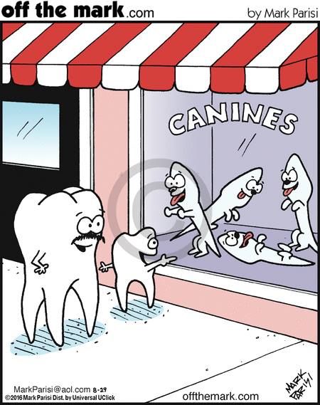 Dental humor Teeth Jokes, Orthodontic Humor, Dental Hygiene Humor, Dental Assistant Humor, Dentist Jokes, Dentistry Humor, Hygiene School, Teeth Humor, Dental Quotes