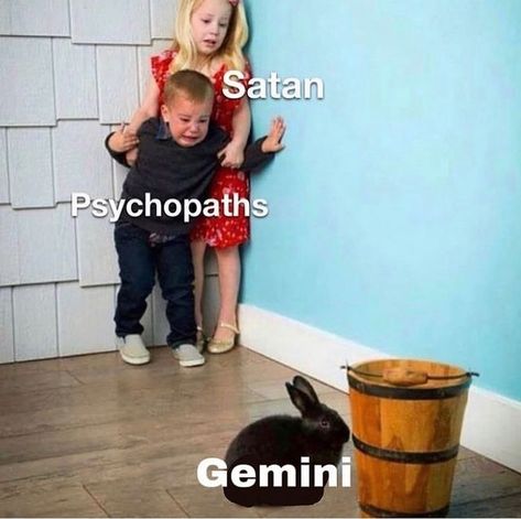 gemini memes♊️ on Instagram: "Why are we like this🤣🤣??? Follow @geminissue for more Gemini issue!♊️" Virgo Libra Cusp, Virgo Memes, Virgo Art, Horoscope Memes, Virgo Traits, Virgo Quotes, Virgo Love, Zodiac Funny, Zodiac Signs Virgo