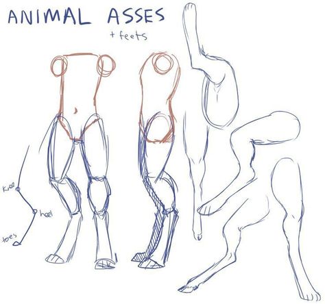 Animal Poses, Animals Drawing, Drawing Prompts, Different Poses, Pose References, 캐릭터 드로잉, Female Anatomy, Anatomy Drawing, Poses References