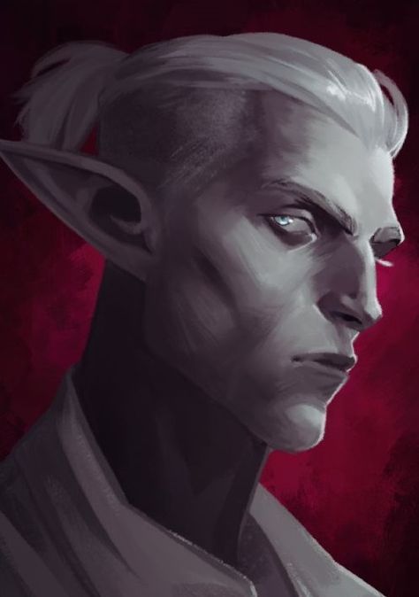 Pale Elf, Drow Male, Snow Elf, Dnd Npc, Dnd Elves, Male Elf, Pillars Of Eternity, Elves Fantasy, Elf Art