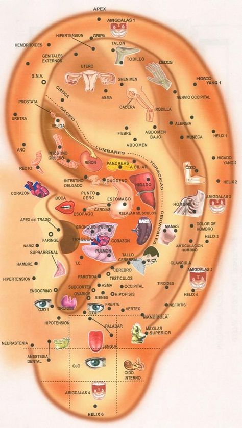 Ear Reflexology, Reflexology Foot Chart, Piercing Daith, Hand Reflexology, Reflexology Chart, Reflexology Massage, Foot Reflexology, Acupuncture Points, Acupressure Points