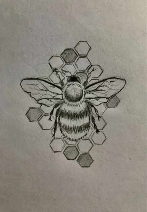 Realistic, cute Bumblebee Honeycomb Tattoo, Honeycomb Bee Tattoo Design, Tattoo Ideas Bumblebee, Bumble Bee With Honeycomb Tattoo, Bee On Honeycomb Tattoo, Honey Comb Bee Tattoo Design, Honey Comb And Bees Tattoo, Bumble Bee And Honeycomb Tattoo, Bumble Bee Drawings