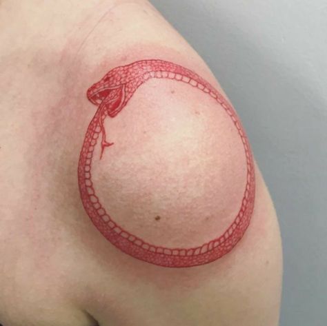 Ouroboros Tattoo, Black And White Snake, Tattoo Mini, Snake Tattoos, Red Ink Tattoos, White Snake, 1 Tattoo, Real Tattoo, Snake Tattoo