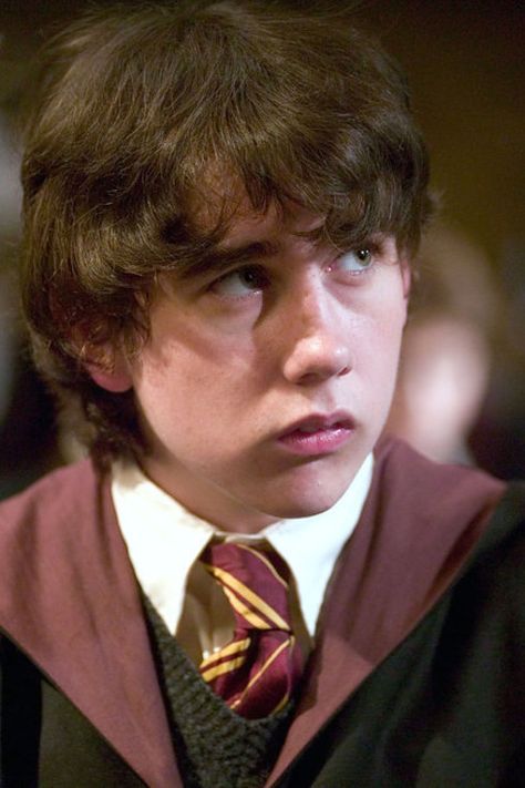 Neville Longbottom, Harry Potter