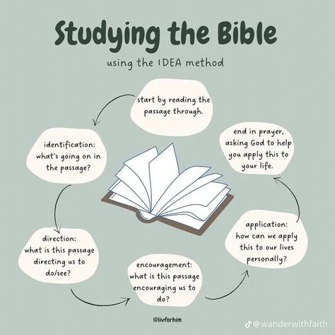 Methods To Study The Bible, Idea Bible Study Method, Grow Bible Study Method, How To Host A Bible Study Small Groups, Bible Study Strategies, Different Bible Versions, Contentment Bible Study, Acts Bible Study Method, How To Make A Bible Study Journal