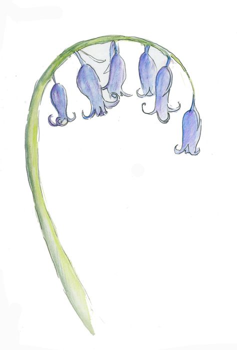 Sketch-a-day: Day 146 ~ bluebell by Ruthie Redden Bluebell Drawing Simple, Bluebell Outline, Bluebell Sketch, Bluebell Flower Drawing, Bellflower Drawing, Bluebells Drawing, Bluebell Drawing, Bluebell Illustration, Bluebell Painting