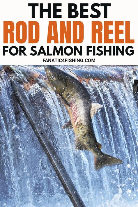 Salmon Fishing Rig, Fishing Salmon, Surf Fishing Rods, Fly Fishing For Beginners, Best Fishing Rods, Fly Fishing Flies Pattern, Fly Fishing Tips, Fly Fishing Gear, Fishing Rods And Reels