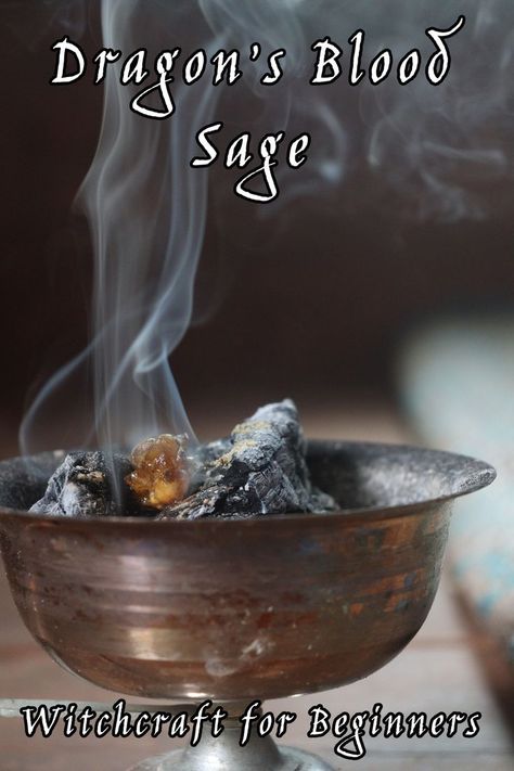 dragons blood sage incense for witchcraft Dragonsblood Sage, Witchy Incense, Herb Meanings, How To Make Incense, Witchcraft Practice, Cleansing Herbs, Sage Benefits, Incense Blends, Dragons Blood Incense