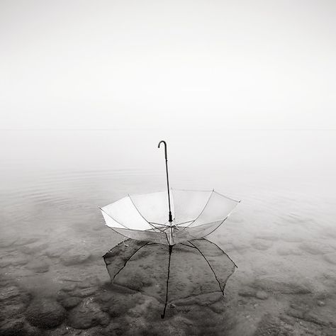 . Yuumei Art, Umbrella Art, Under My Umbrella, Black And White Landscape, Singing In The Rain, Umbrellas Parasols, Summer Rain, It's Raining, Foto Art