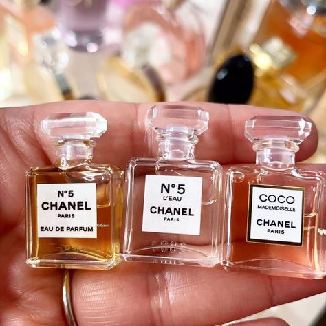 Mini Chanel Perfume, Chanel Perfume Collection, Mini Perfume Aesthetic, Mini Perfume Bottles, Organization Perfume, Perfume Branding, Perfume Miss Dior, Luxury Perfume Women, Miss Dior Perfume