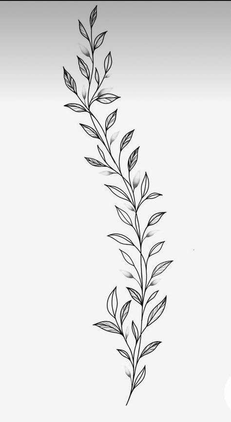 Dainty Vine Tattoo, Garland Tattoo, Leaf Vine Tattoo, Vine Tattoo Stencil, Ramos Tattoo, Tattoos Forearm, Vine Tattoo, Stencil Outline, Tattoo Background