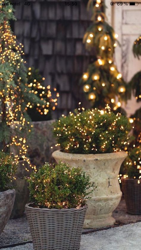 Christmas Planters, Christmas Front Porch, Christmas Inspo, Christmas Garden, Outdoor Christmas Lights, Christmas Porch, Noel Christmas, Christmas Deco, Ideas Christmas