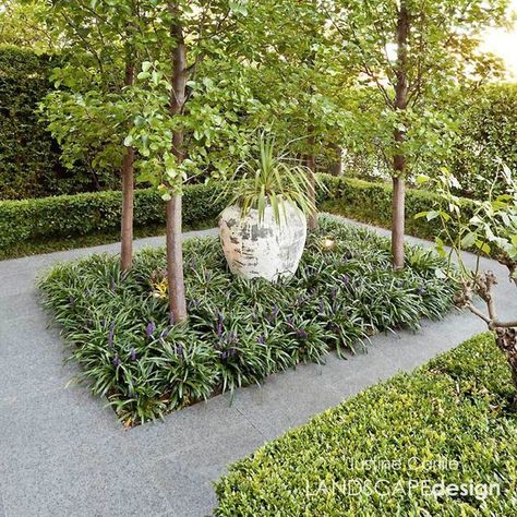 Justine Carlile on Instagram: "A beautiful contemporary landscape design embracing lush foliage and clean lines. Landscape Design: @justinecarlilelandscapedesign Feature Pot: @martinkellockpotsnplanters Stone: @yarrabeestone Photography: @patrickredmondphotography1" Birch Trees Landscaping, Contemporary Landscape Design, Garden Line, Lawn Alternatives, Outdoor Paving, Classic Garden, Outdoor Gardens Design, Garden Show, Landscaping Plants