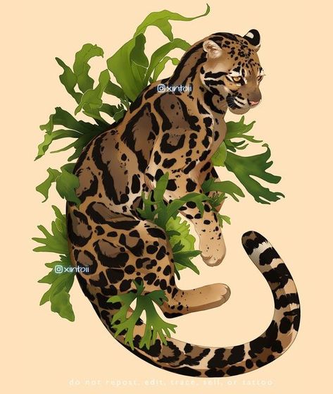 Leopard Drawing, Leopard Art, Clouded Leopard, Big Cats, Pretty Art, Animal Drawings, Animal Art, Cats And Kittens, Horn