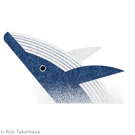 Ryo Takemasa, Whale Illustration, Whale Art, Fish Illustration, Flat Illustration, Fish Art, Painting Illustration, Animal Illustration, 그림 그리기