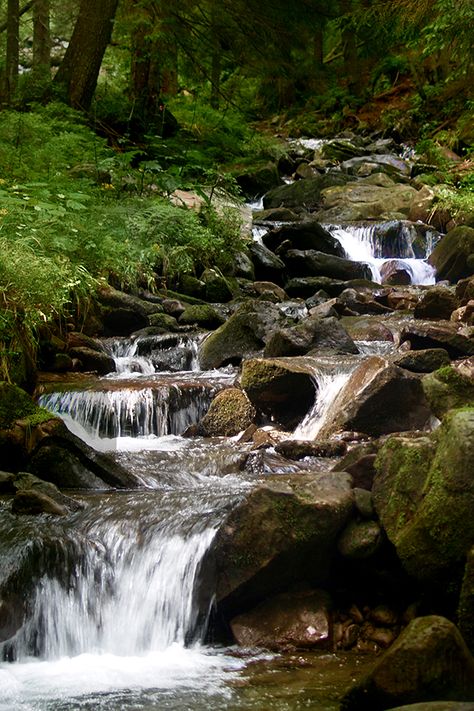 Mossy woodland stream (free stock photo for your nature & hiking blog, website or print media). Autumn Altar, Stream Landscaping, Woodland Stream, 2023 Energy, The Valar, Fanfiction Ideas, Church Painting, Fishers Of Men, Rivers Streams