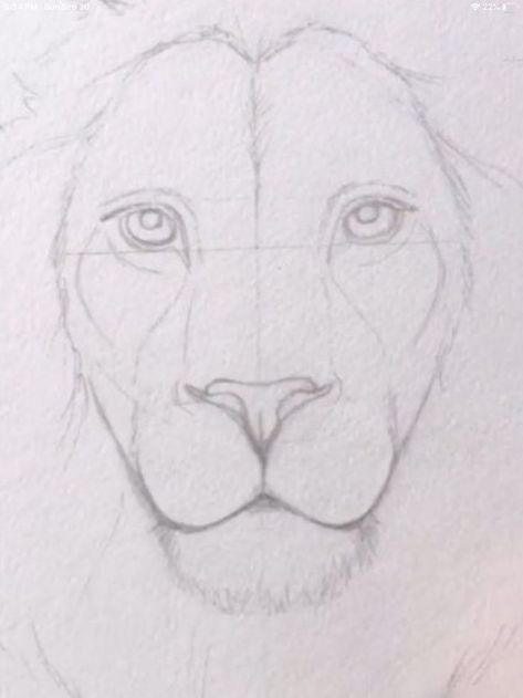 Lion Nose Drawing, Lion Head Drawing Sketches, How To Draw A Lion Face, Loin Drawings, Lion Drawing Realistic, Lion Eyes Drawing, Lion Sketch Pencil, Lion Sketch Simple, Male Lion Drawing