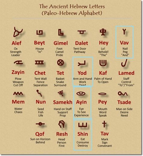 The Ancient Hebrew Letters, called the Paleo-Hebrew Alphabet, found at Tel Gezer and other sites Yod Hey Vav Hey, Paleo Hebrew Alphabet, Paleo Hebrew, Hebrew Lessons, Biblical Hebrew, Hebrew Roots, Hebrew Alphabet, Ancient Languages, Ancient Hebrew