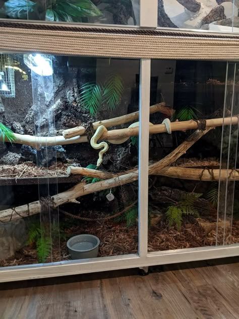 Bioactive Python Enclosure, Snake Tank Aesthetic, Homemade Snake Enclosure, Python Tank Ideas, Pvc Snake Enclosure, Diy Ball Python Terrarium, Snake Tanks Terrariums, Diy Pvc Reptile Enclosure, Ball Python Enclosure Ideas Cute