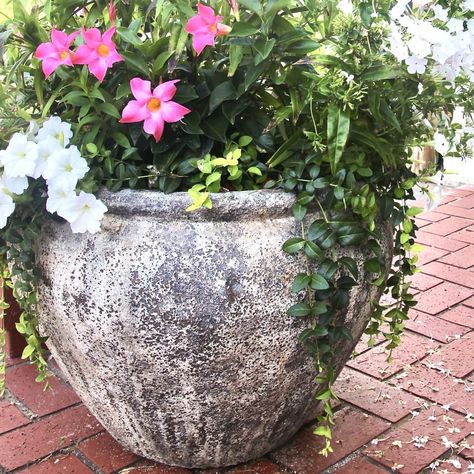 Repainting Flower Pots, Aging Plastic Pots, Painting Outdoor Planters, Painted Urns Planters, Clay Pot Garden Ideas, Diy Paint Planter Pot, Decorating Plastic Plant Pots, Painting Outdoor Pots, Plastic Pots Makeover