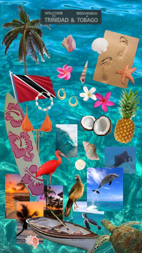 desperate to go 🇹🇹☀️🌸🥭🥥🌴 #trinidad #tobago #trinidadandtobago #caribbean Trinidad Core, Trinidad Aesthetic, Trinidad And Tobago Aesthetic, Tobago Aesthetic, Trinidad Culture, Ladybug Kiss, Caribbean Life, Trinidad And Tobago Flag, Miraculous Ladybug Kiss