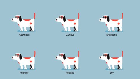 Dog Character Design, Dog Zoomies, Happy Cat Gif, Cat Animation, Excited Dog, Dog Animation, Flash Animation, Spy Kids, In Gif