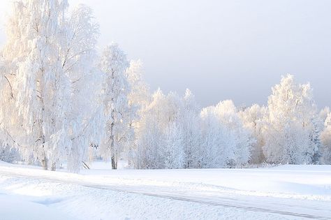 When I get fed up with the never ending heat of MS, I dream of living here... Open Days, Drama School, Winter Images, I Love Winter, Christmas Feeling, Mince Pies, Winter Wallpaper, Winter Scenery, Winter Beauty