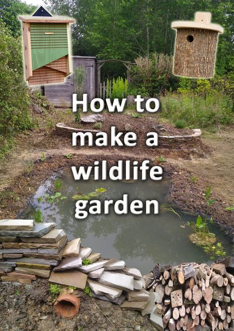 A wildlife garden with a wildlife pond, wildlife plants and log piles Creating Animal Habitats, Nature, Garden Wildlife Ideas, Biodiversity Garden Design, Wildlife Friendly Garden Ideas, Wildlife Habitat Projects, Biodiversity Garden Ideas, Attract Wildlife To Garden, Wildlife Friendly Backyard